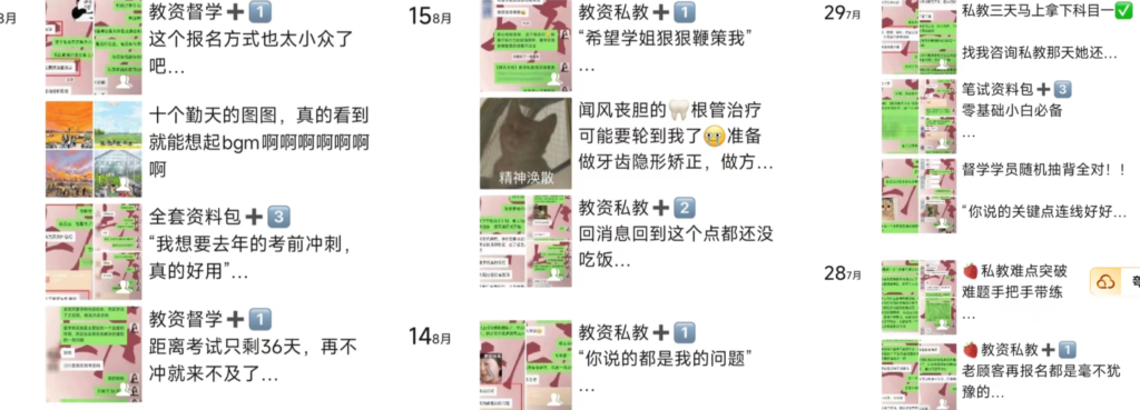 图片[1]-【2024.12.29】裸辞靠着虚拟资料项目月收入2W+，普通人可复制的详细变现方法分享-星月项目网